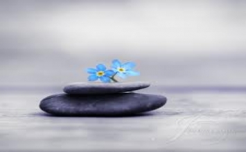 Đầu cọp sừng dài